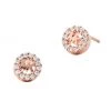 Michael Kors 14K-Rose-Gold-Plated & Cubic Zirconia Monogram Stud Earrings